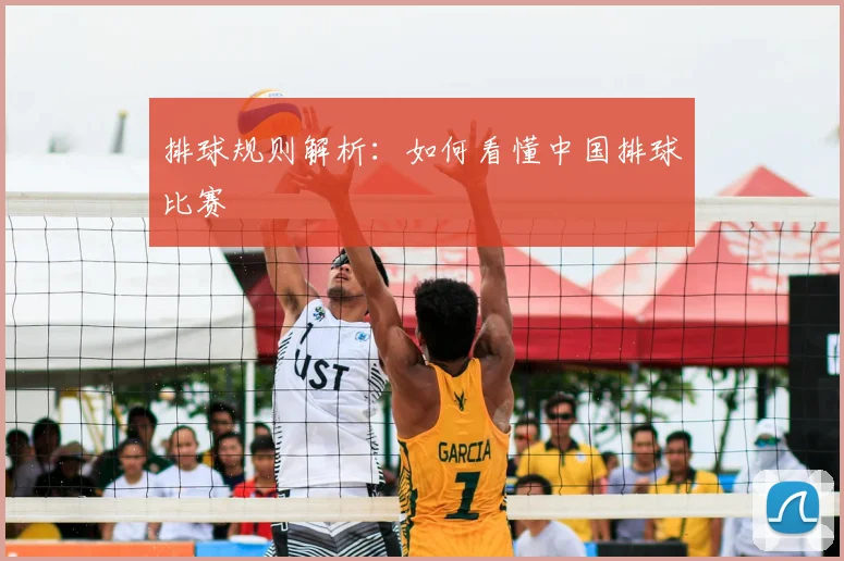 排球规则解析：如何看懂中国排球比赛